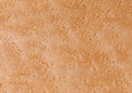 底纹 342 底纹 342