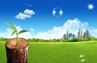 韩式自然背景 (147)