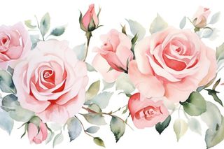 玫瑰花粉色水彩画免抠