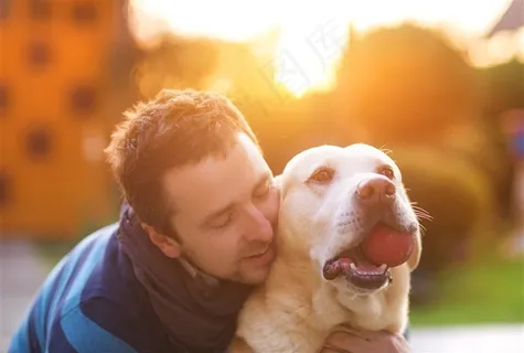 咬着球的宠物狗高清图片 咬着球的宠物狗高清图片