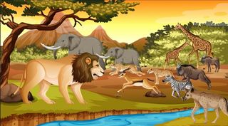 大林木动物卡通背景