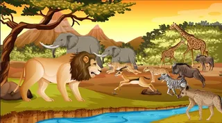 大林木动物卡通背景