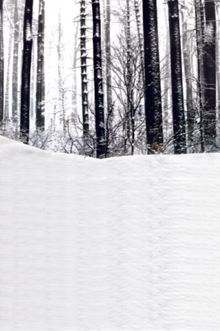 唯美摄影背景-雪地