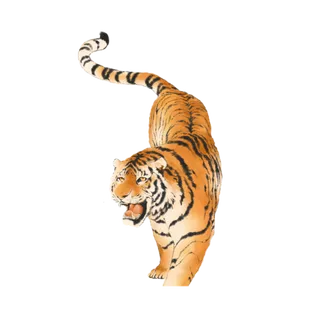 卡通小老虎PNG免抠插画素材可爱动物老虎插画贴图PNG免抠设计素材