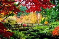 五彩缤纷的植物高清图片