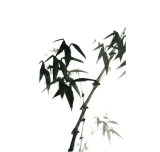 竹子水墨画中国风国画墨水书法竹子画