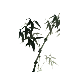 竹子水墨画中国风国画墨水书法竹子画