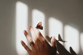 蝴蝶落在手上的图片