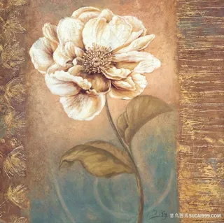 唯美花卉复古插画