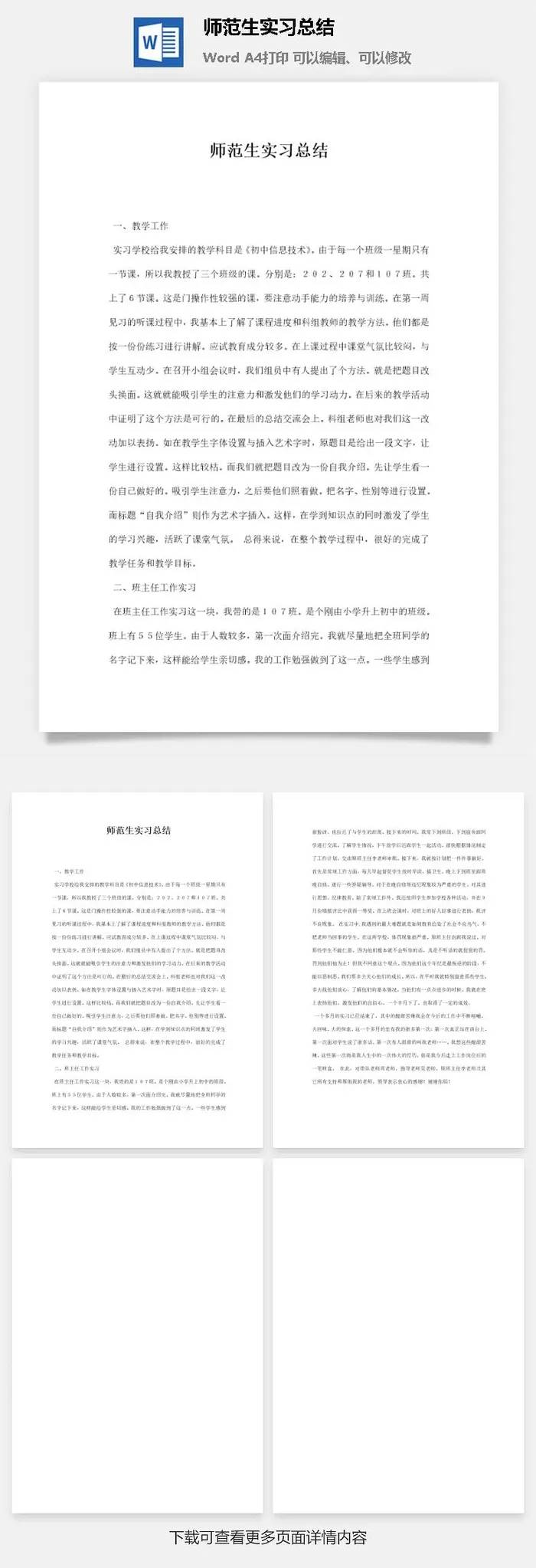师范生实习总结