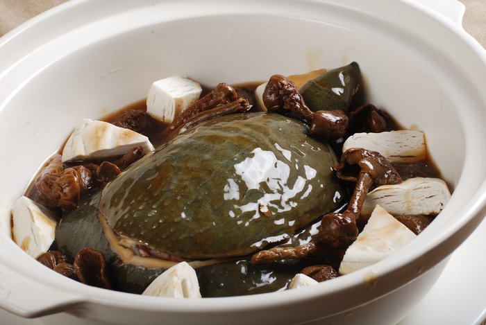 川菜湘菜高清菜谱 松茸焖甲鱼