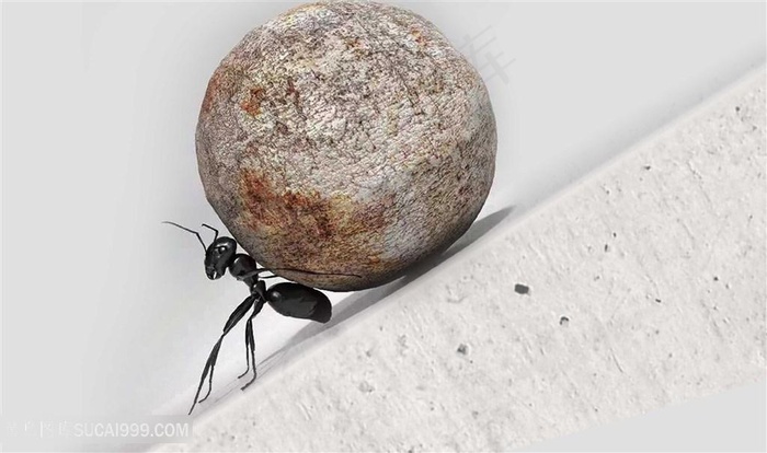 压力背景石头下的蚂蚁