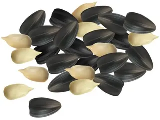 向日葵种子 PNG免抠