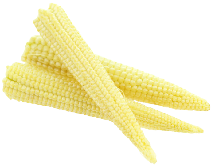 小玉米玉米棒