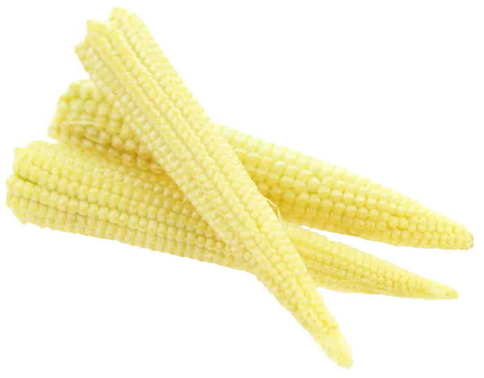 小玉米玉米棒