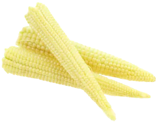 小玉米玉米棒