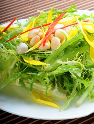 L00932苦菊白杏仁18