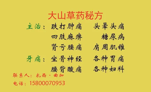 名片，中药，养生，草药，简洁