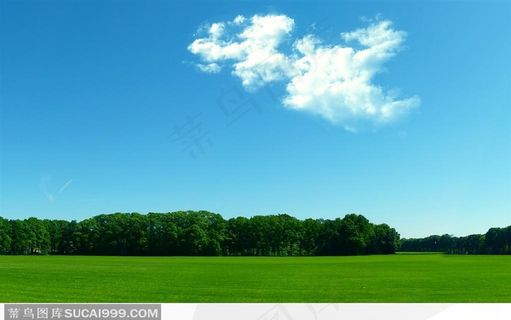 蓝天白云下的树林与绿地