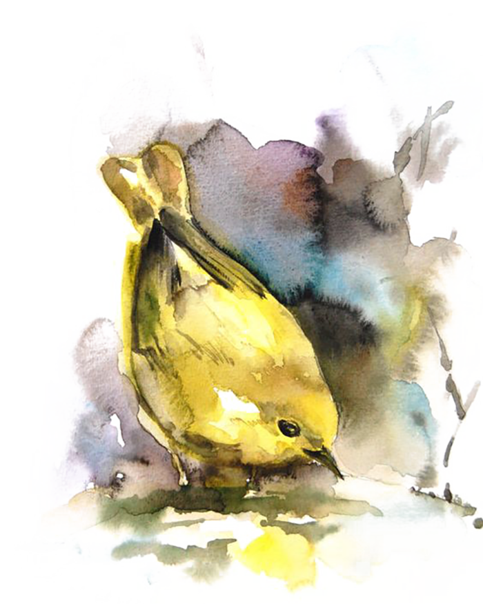 卡通小鸟简笔黄色水墨