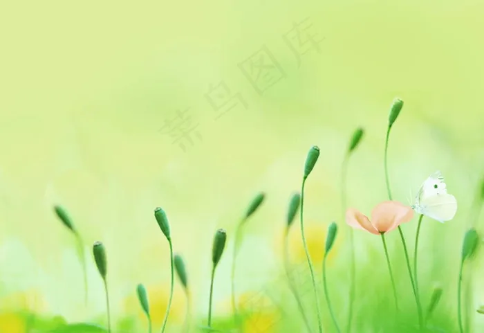 暖色系背景图片