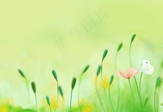 暖色系背景图片