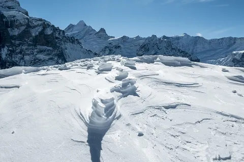冬天自然背景风景 冬天自然背景风景