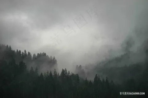 雾朦朦的山林图片 雾朦朦的山林图片