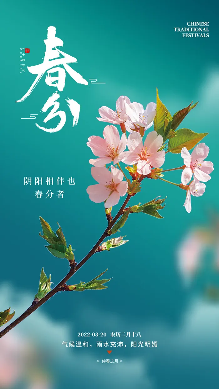 春分节气海报psd模版下载