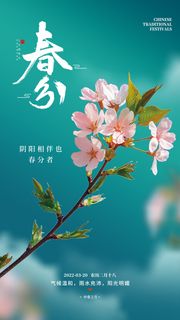 春分节气海报