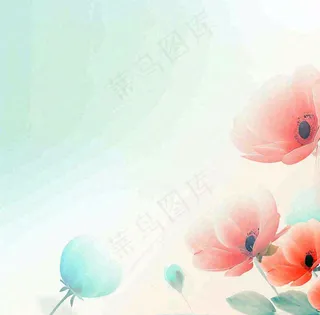 彩色简约鲜花花束郁金香渐变花朵