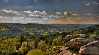 广袤的森林桌面壁纸