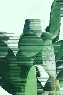 植物仙人掌装饰画