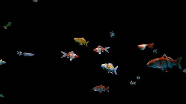 鱼, 水族馆, 鱼缸, 动物, 游泳, 水下, 海洋, 海