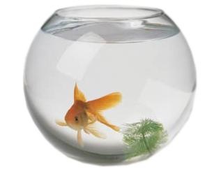 水族馆 PNG免抠
