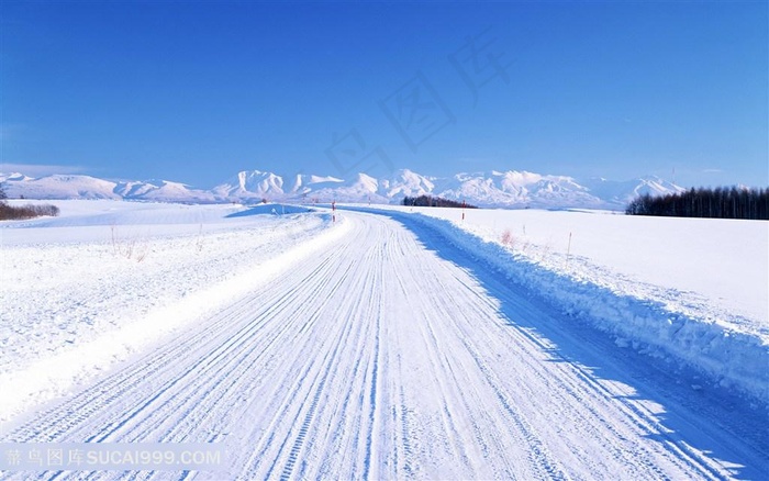 雪景道路美景风景画