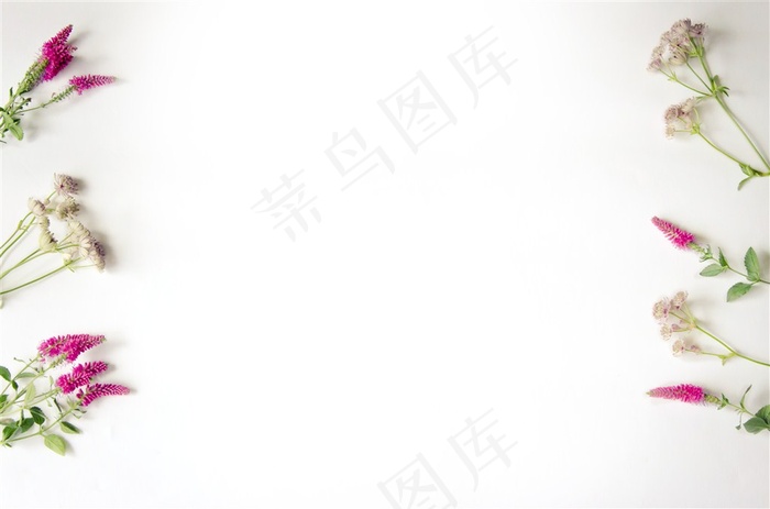 平铺摆设的花朵