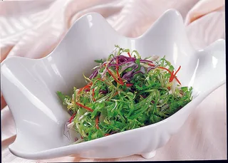 0911LCH-269鹅肝苦菊