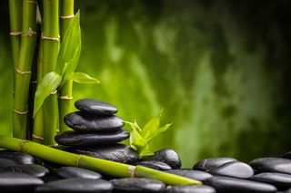 超美的石头和竹子