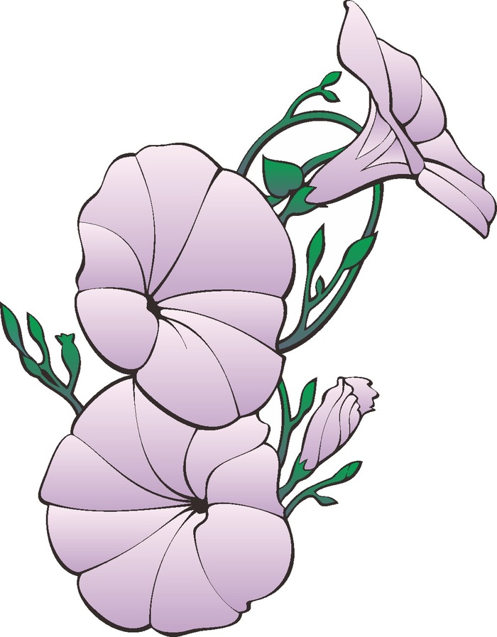 卡通动漫动画鲜花花草喇叭花牵牛花手绘海报名片免扣图片素材矢量图cdr矢量模版下载