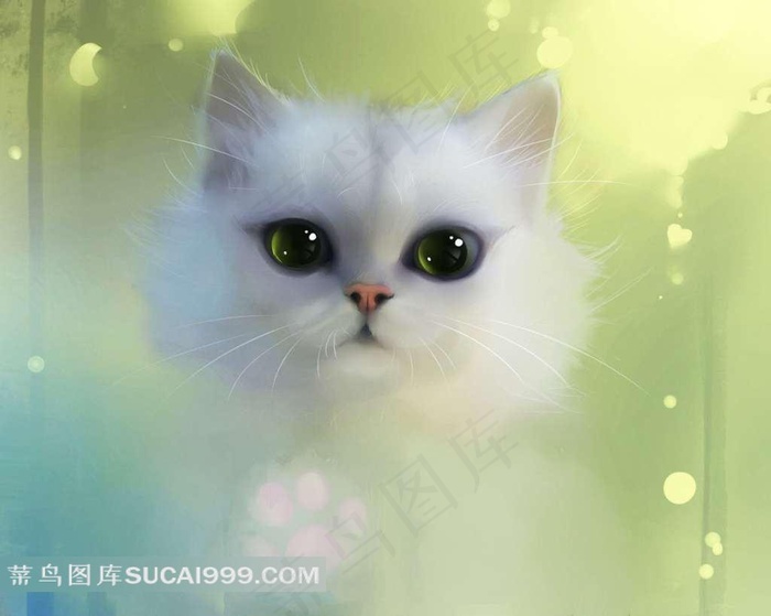 白色可爱的猫咪