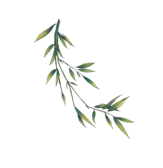 竹子水墨画中国风国画墨水书法竹子画