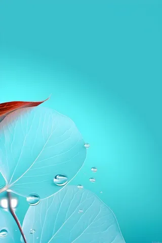 树叶露珠青色大气意境背景