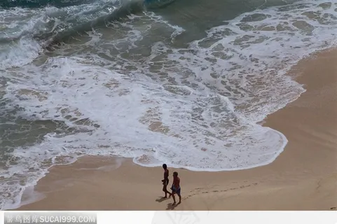 加勒比 海滩 热带 散步 加勒比 海滩 热带 散步