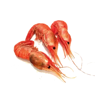 虾类(28)海鲜超市商品红酒白底图免抠实物摄影png格式图片透明底