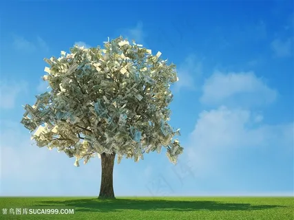 金钱树创意高清图片