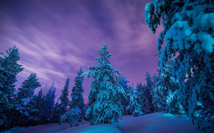 白色冬季美丽雪景