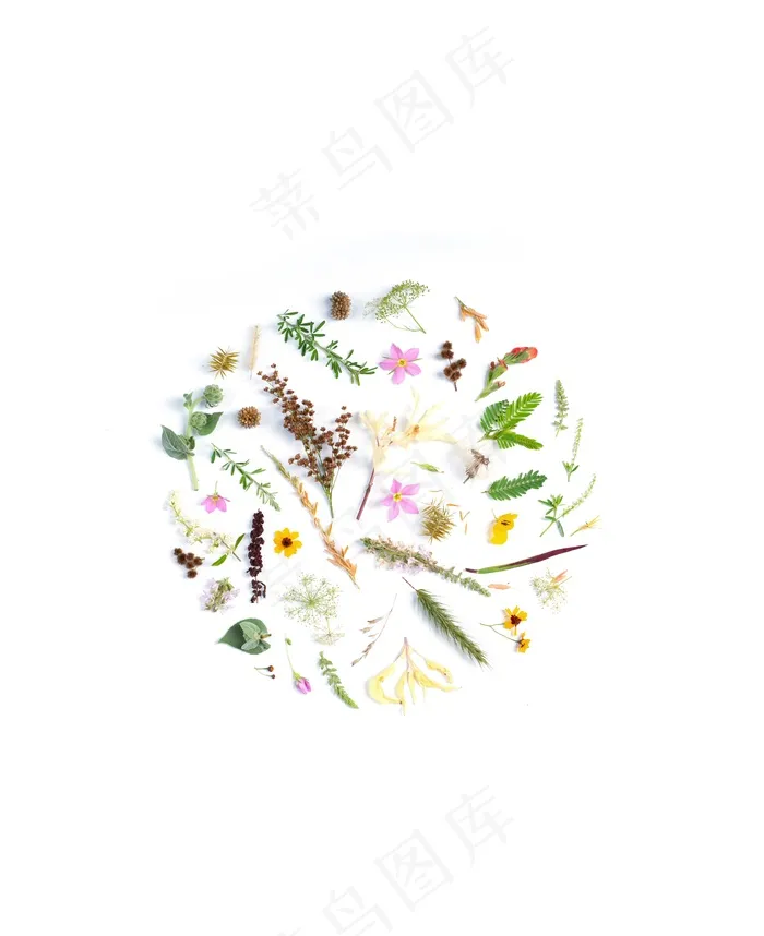 植物花草ppt背景图片