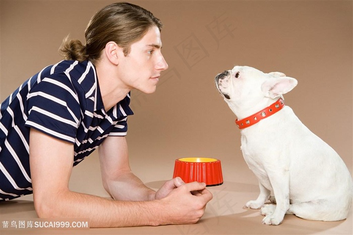 高清男人与可爱斗牛犬狗狗图片