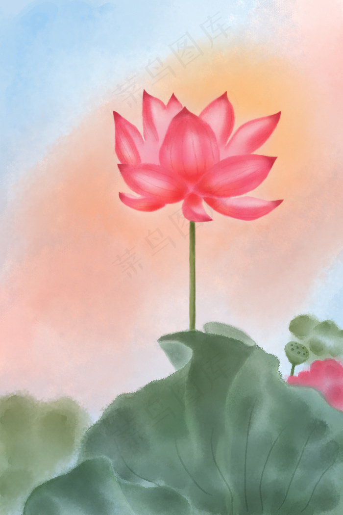 水彩风荷花插画psd模版下载